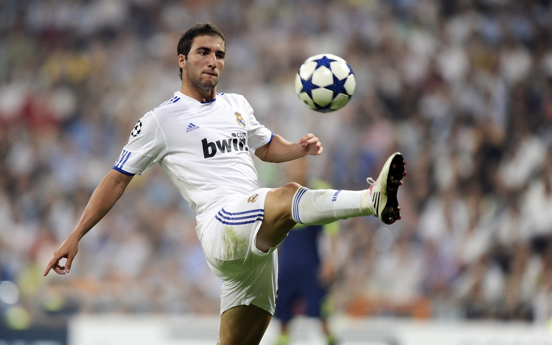 关键先生福克斯，决胜时刻的冷血杀手助国王险胜开拓者